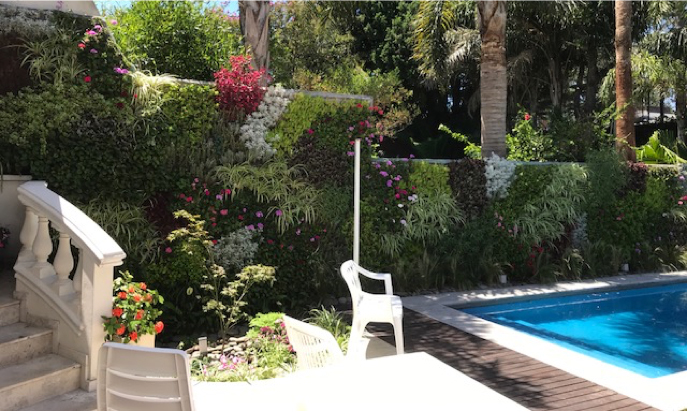 jardin-vertical