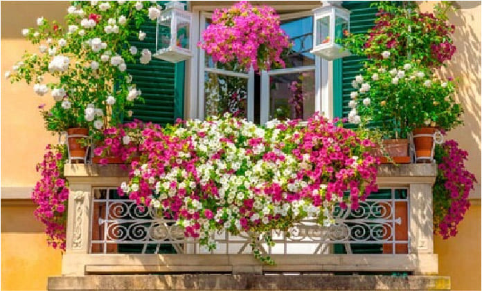jardin-vertical